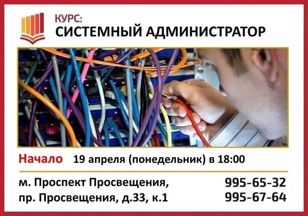 Обязанности системного администратора. Наладчик компьютерных сетей. Систмныйадминистратор. День системного администратора 2021. Системный администратор.