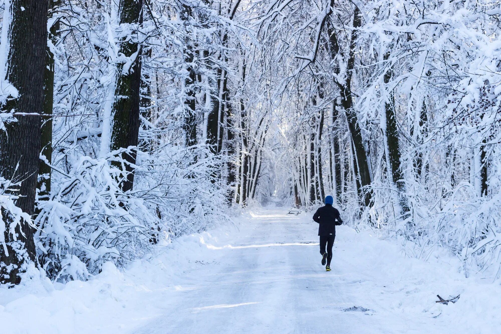 В лесу зимой можно. Зимой в лесу. Прогулка в зимнем лесу. Человек в зимнем лесу. Парень в зимнем лесу.