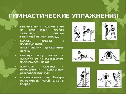 Физические упражнения делятся на