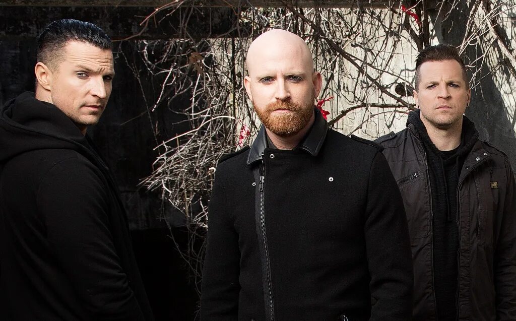 Beef. Red слушать. Red слушать. Red слушать. Deep red internal.