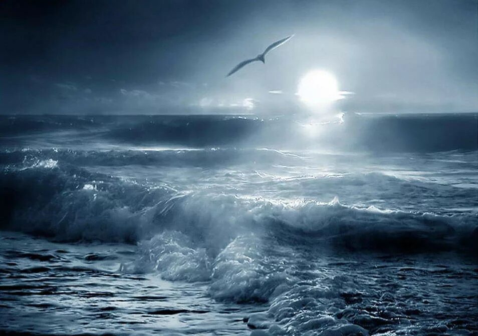 Море шторм. Бушующее море. Море шторм Чайки. Бушующий океан. Холодный ветер на море 4