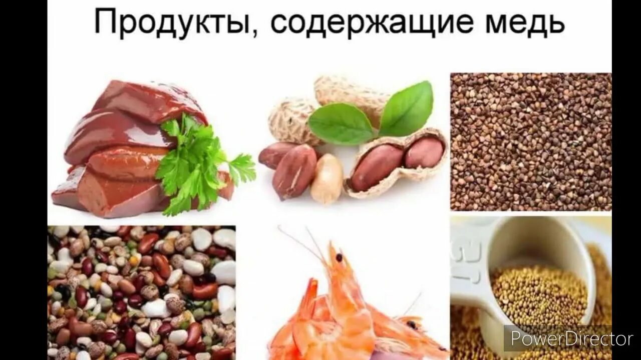 В каких продуктах содержится медь в больших количествах. Медь в пище. Продукты много меди. Продукты содержащие медь. Продукты богатые медью.