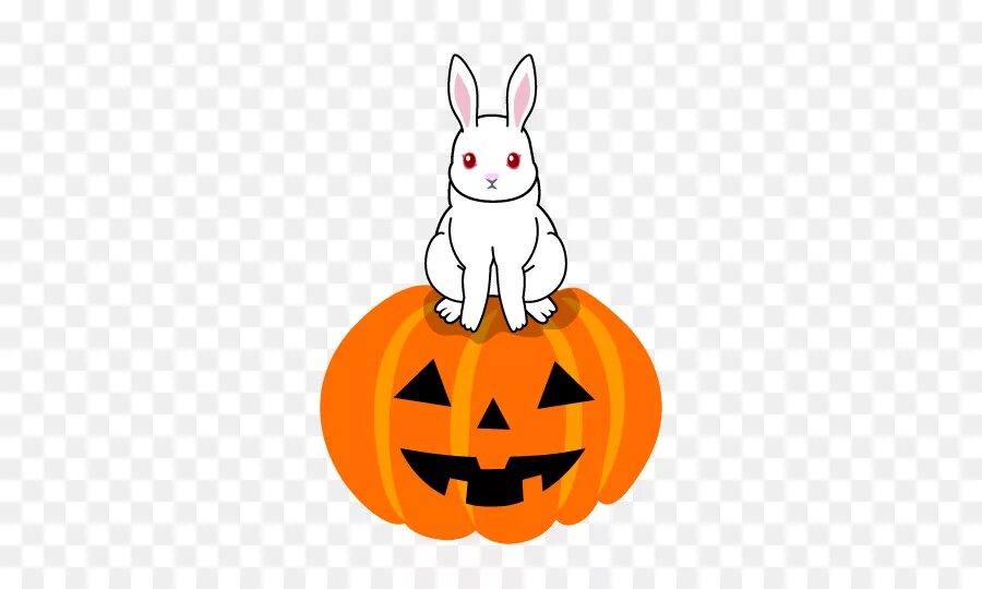 Можно кроликам тыкву. Тыквенный кролик. Заяц и тыква Хэллоуин. Кролик тыквы Хэллоуин. Белый кролик с хэллоуинской тыквой.
