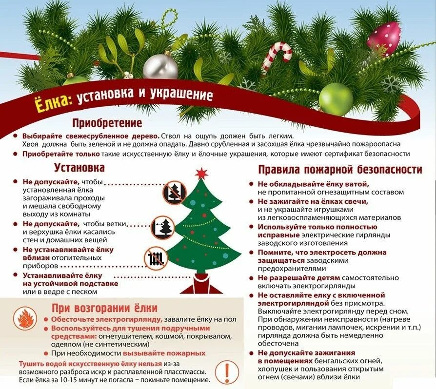 Какого числа ставить новогоднюю елку