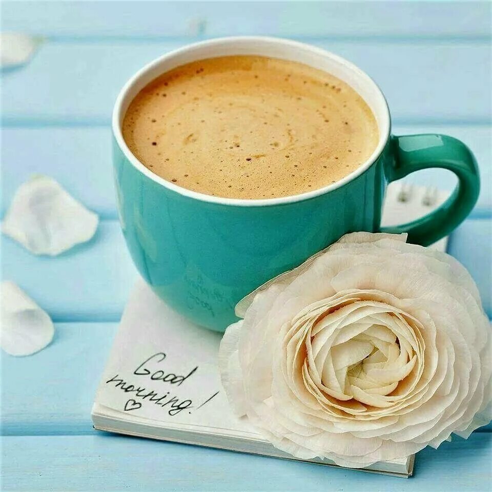 Стильные открытки с добрым утром. Красивая чашка кофе. С добрым утром кофе. Чашечка кофе с добрым утром.