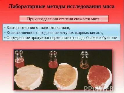 Лабораторная работа мяса