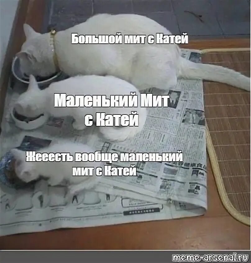 Я сломаю тебе жизнь. - part 6 Черные котята, Очаровательные котята, Милые котики