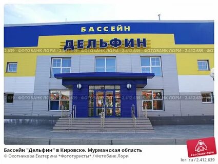 Дельфин кировск