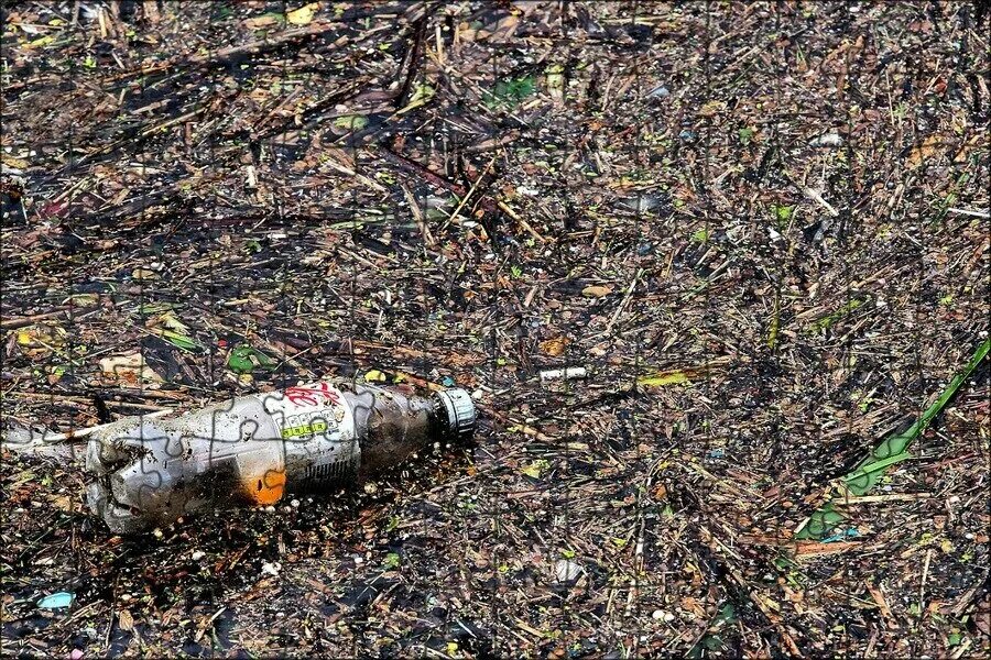 пластиковая бутылка в земле. пластиковая бутылка на земле. сколько разлагается пластиковая бутылка. разбросанные бутылки. бутылка валяется на земле.