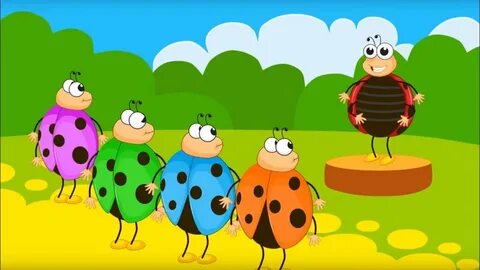 Поющие жуки 5