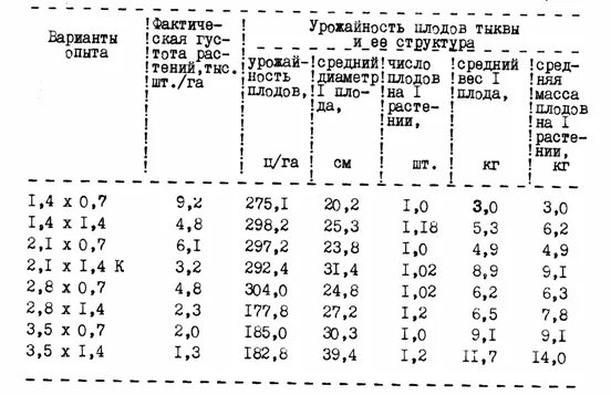 пола памкин. урожайность тыквы. тыква с гектара. урожайность тыквы с га. тыква это овощ или фрукт.