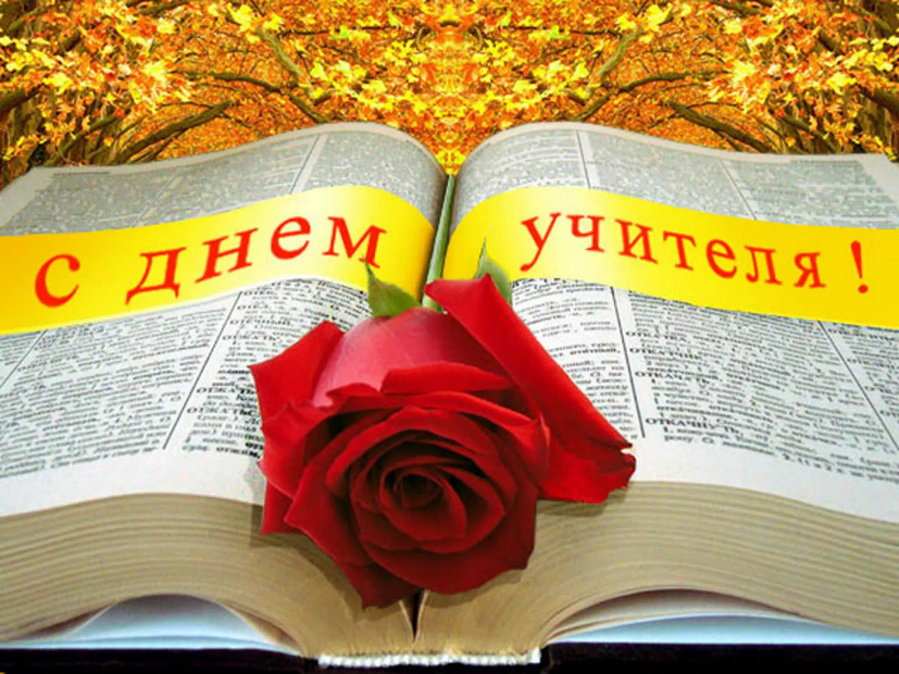 Дорогие учителя!!!От всей души детский сад села Мордыш поздравляем Вас с днём уч