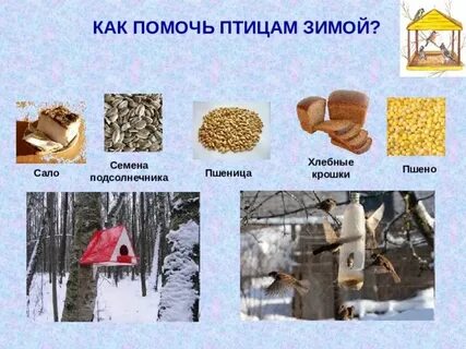 Пшено птицам зимой