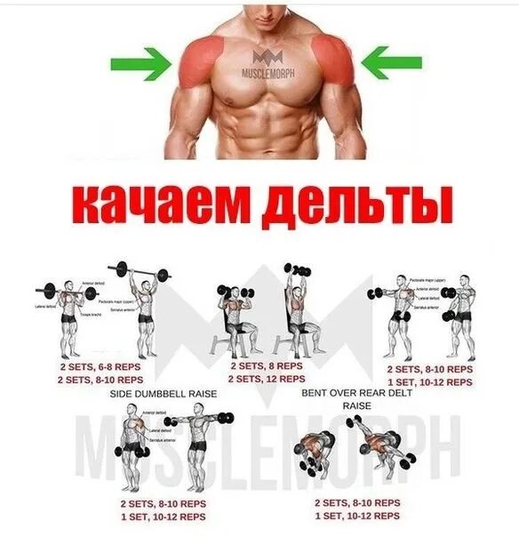 Как накачать переднюю дельту