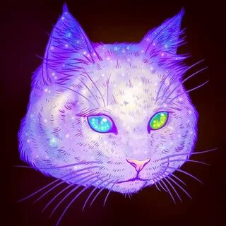 Светящиеся котики