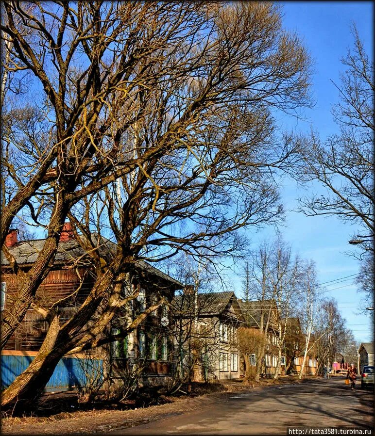 Город малая Вишера. Город малая Вишера Новгородской области. Малая Вишера достопримечательности. Дом Купцов Куржевниковых. Погода малой вишере новгородской области