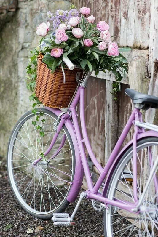 May bike. Велосипед с цветами. Винтажный велосипед с цветами. Велосипед с корзинкой с цветами. Винтажный велосипед с корзиной.