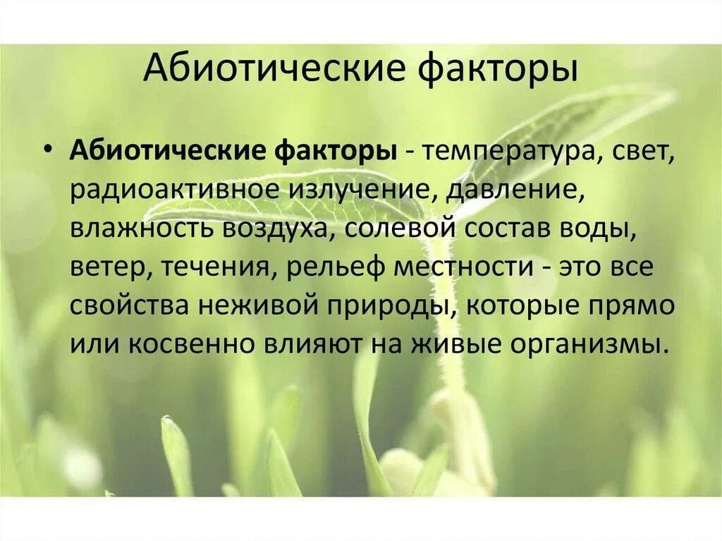 Абиотические факторы таблица. Абиотические факторы среды. Абиотические факторы факторы среды. Влияние абиотических факторов на растения. Факторы окружающей среды 5 класс биология.