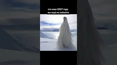 Видео 2027