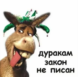 Смешные картинки написано смешно