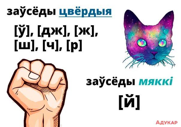 Зацвярдзелыя зычныя у беларускай мове. Затвердела гуки у белорусской мове. ДЗ на на. Д. Затверделые зычные гуки. Правапіс д дз т ц