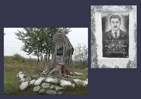 Мишка япончик википедия жизнь