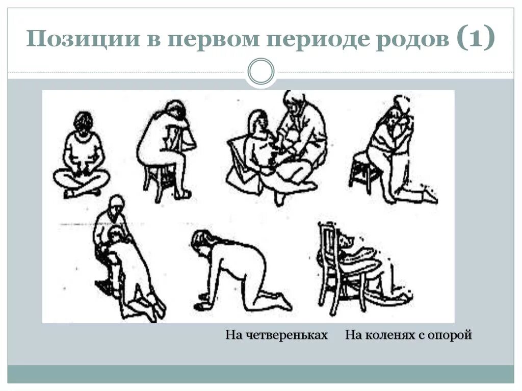 В первом периоде. Позиции в первом периоде родов. Характеристика первого периода родов. Позы в первом периоде родов. Ведение первого периода родов Акушерство.