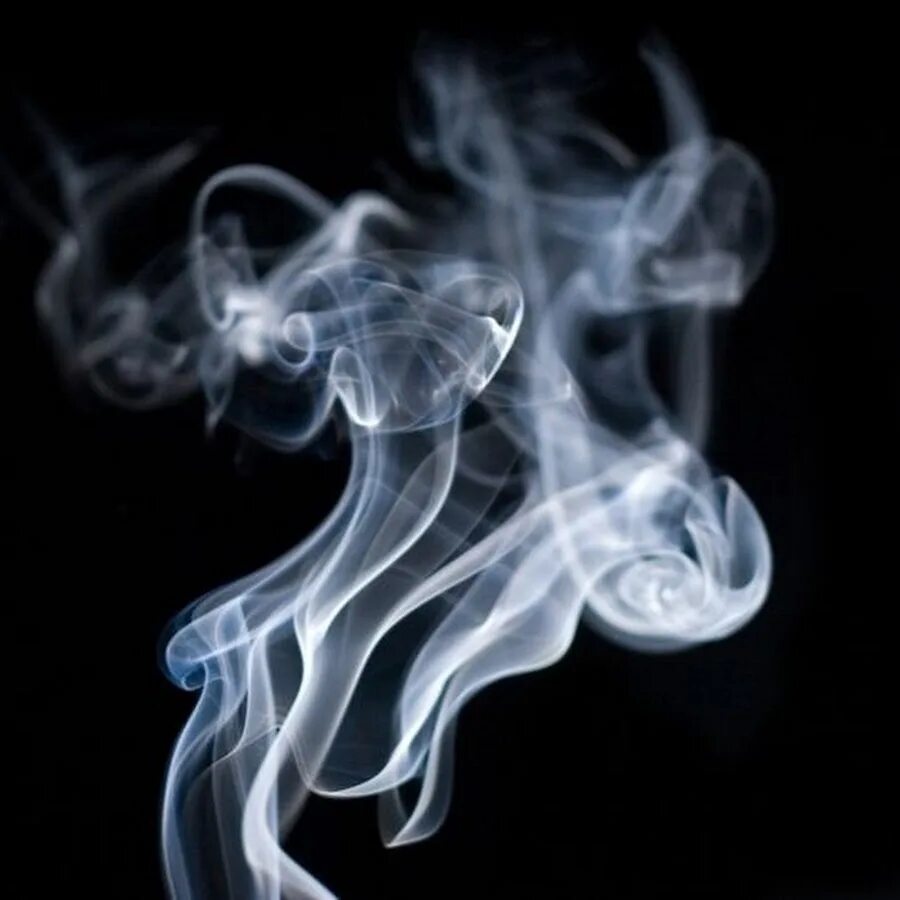 Smoke snake