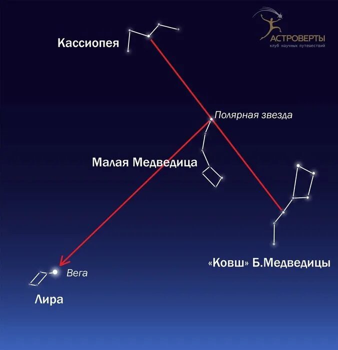 Ковш большая Медведица Полярная звезда. Большой ковш малый ковш Полярная звезда. Полярная звезда в ковше малой медведицы. Большой ковш большой медведицы большой медведицы. Применение северной звезды