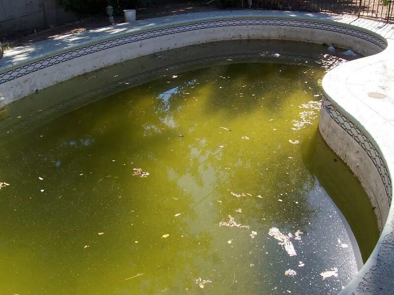 Мутная вода в бассейне. Бассейн с мутной водой. Чаша для бассейна. Мутная вода в бассейне. Бассейн с мутной водой.