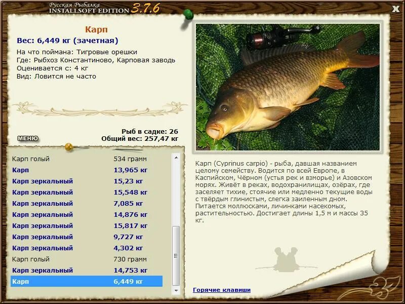 русская рыбалка 3 7 6 амур белый амурский лещ. свой дом на базе реальная рыбалка. лещ реальная рыбалка карасевый пруд. карась русская рыбалка. осетр байкальский реальная рыбалка.