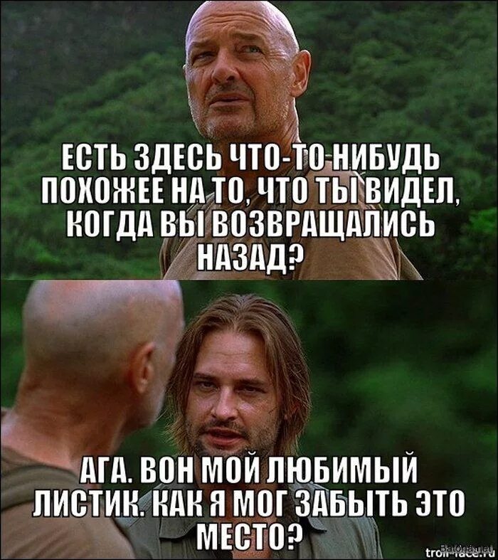 Цитаты лок