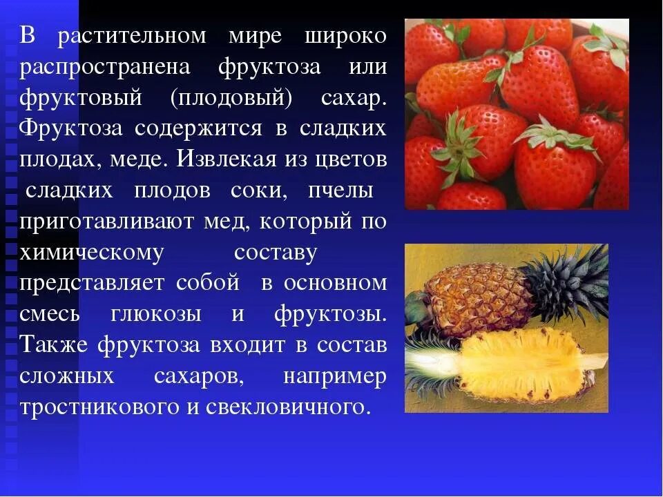 Слаще всех плодов плод человеческого труда значение