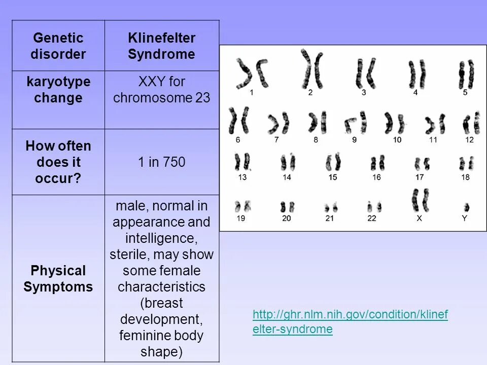 Klinefelter Syndrome karyotype. Синдром Клайнфельтера кариотип. Синдром Клайнфельтера хромосомный набор.