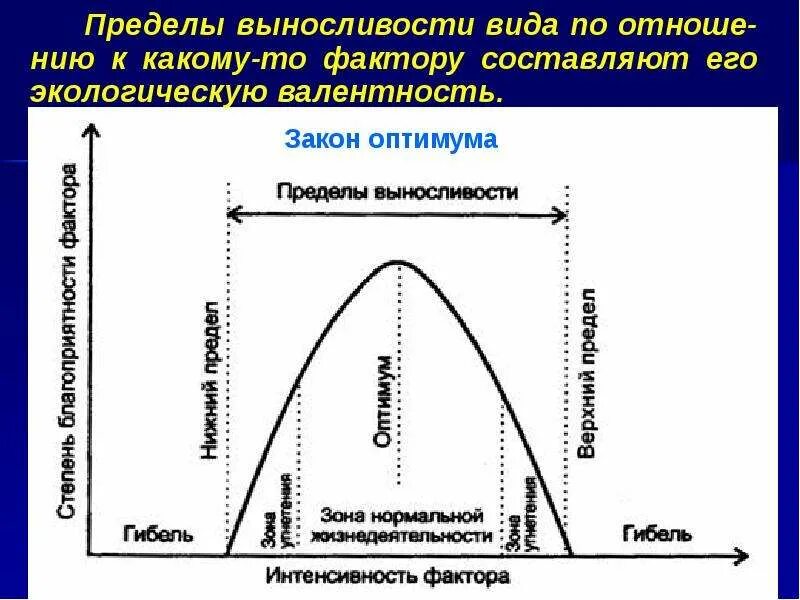 Закон воздействия экологических факторов. Закономерности действия экологических факторов на живые организмы. Общие закономерности воздействия экологических факторов. Закономерности воздействия экологических факторов на организм. Схема действия экологического фактора.