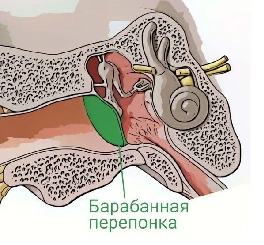 Хронический тубоотит