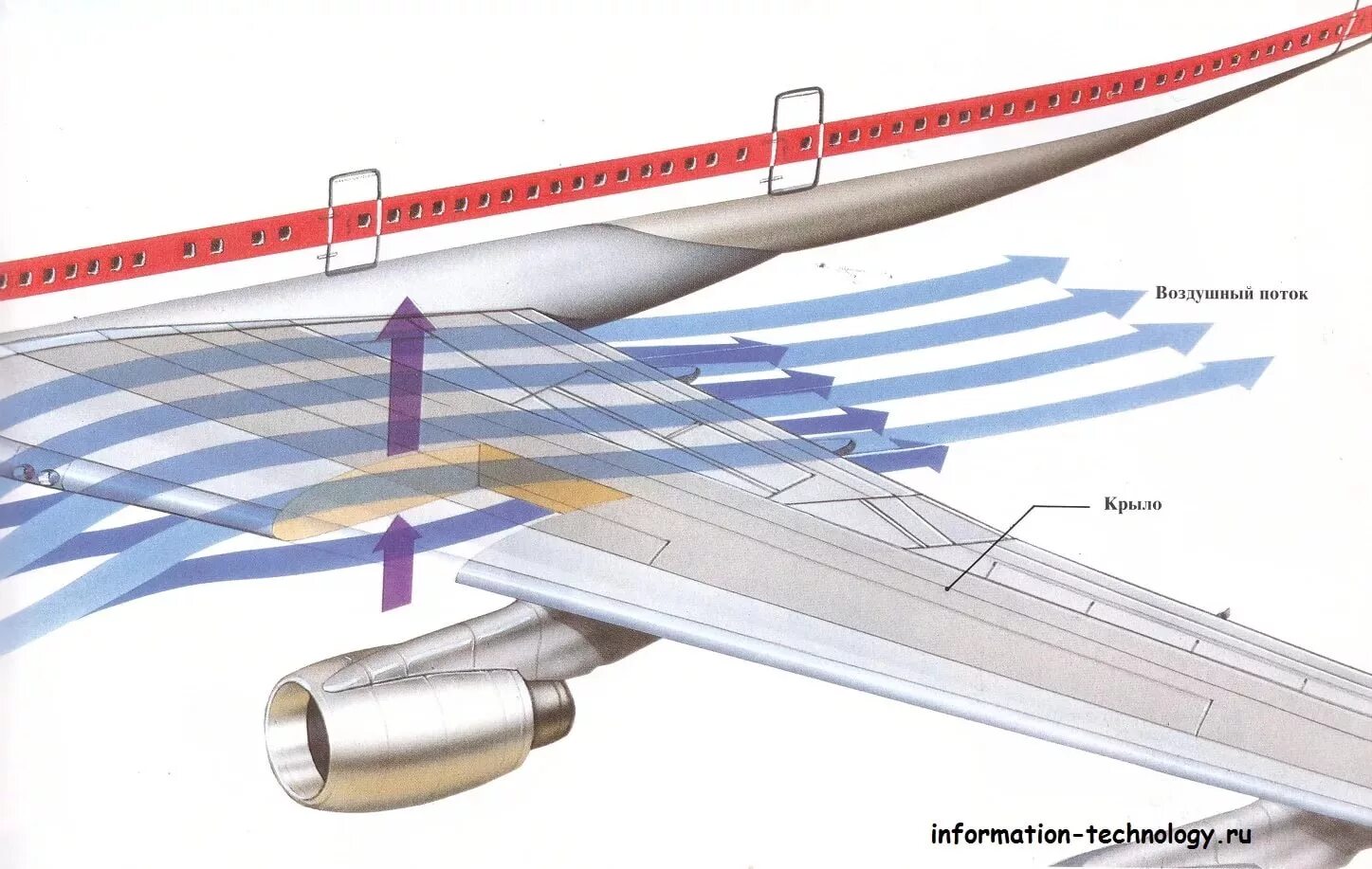 Аэродинамика крыла самолета подъемная сила. Профиль крыла самолета аэродинамика. Принцип подъемной силы крыла самолета. Профиль крыла самолета подъёмная сила. Максимальный воздушный поток