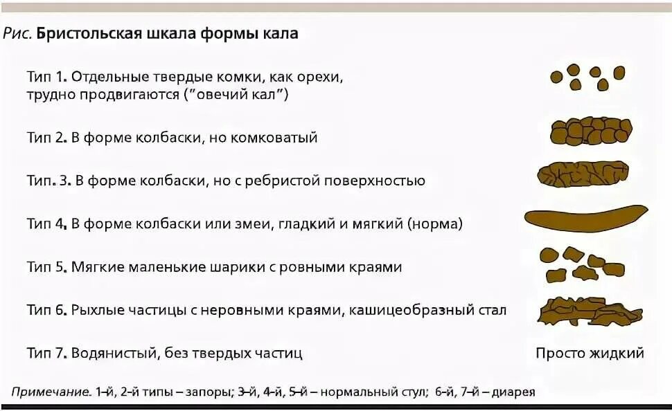 От чего может быть зеленый кал. Нормальный цвет стула у взрослого.