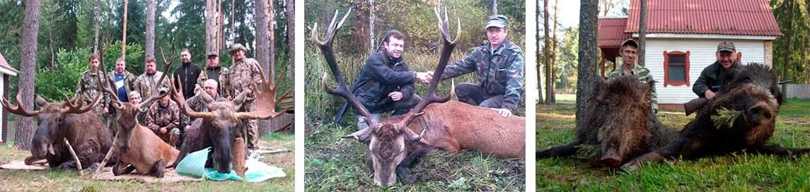 Лесоохотничье хозяйство. Охотхозяйство Лось Переславский район. Старокрымское лесоохотничье хозяйство. ОАО Лось лесоохотничье хозяйство.