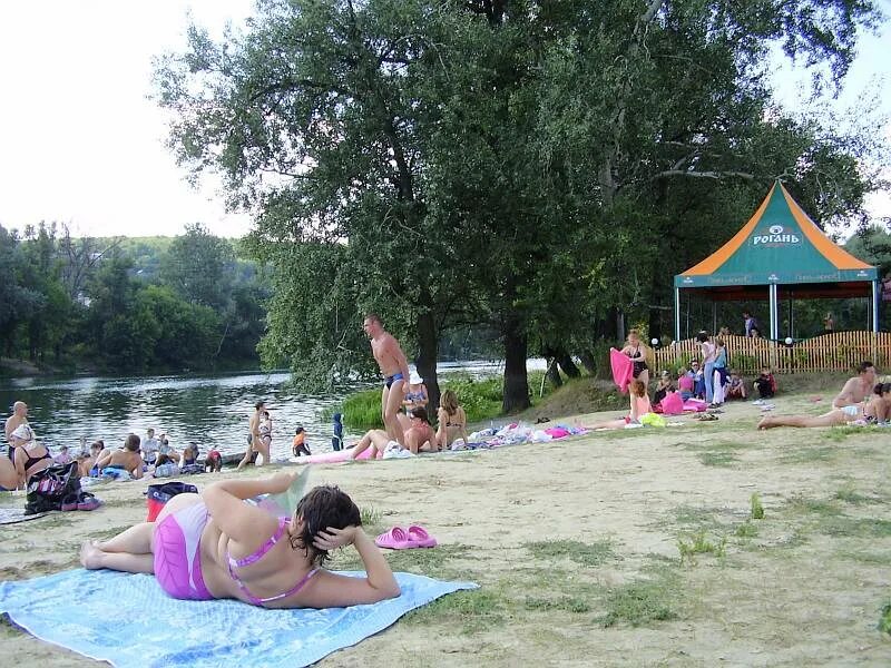 северский донец в белгороде спутник. река сухой донец ростовская область. пляж донец. пляж северский донец каменск-шахтинский. донец река пляж.
