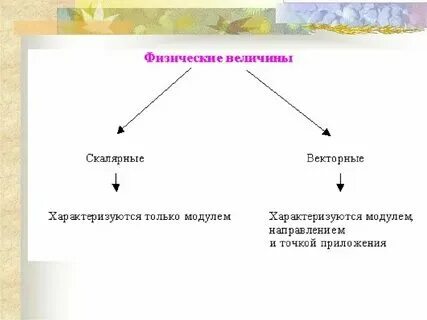 Какие величины называются векторными приведите примеры Какие из данных величин являются векторами