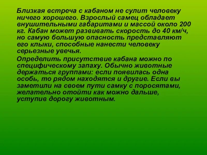 Правила поведения при встрече с диким кабаном. Памятка при встрече с кабаном. Поведение человека при встрече с крупными дикими животными. Презентация по ОБЖ встреча с дикими животными.