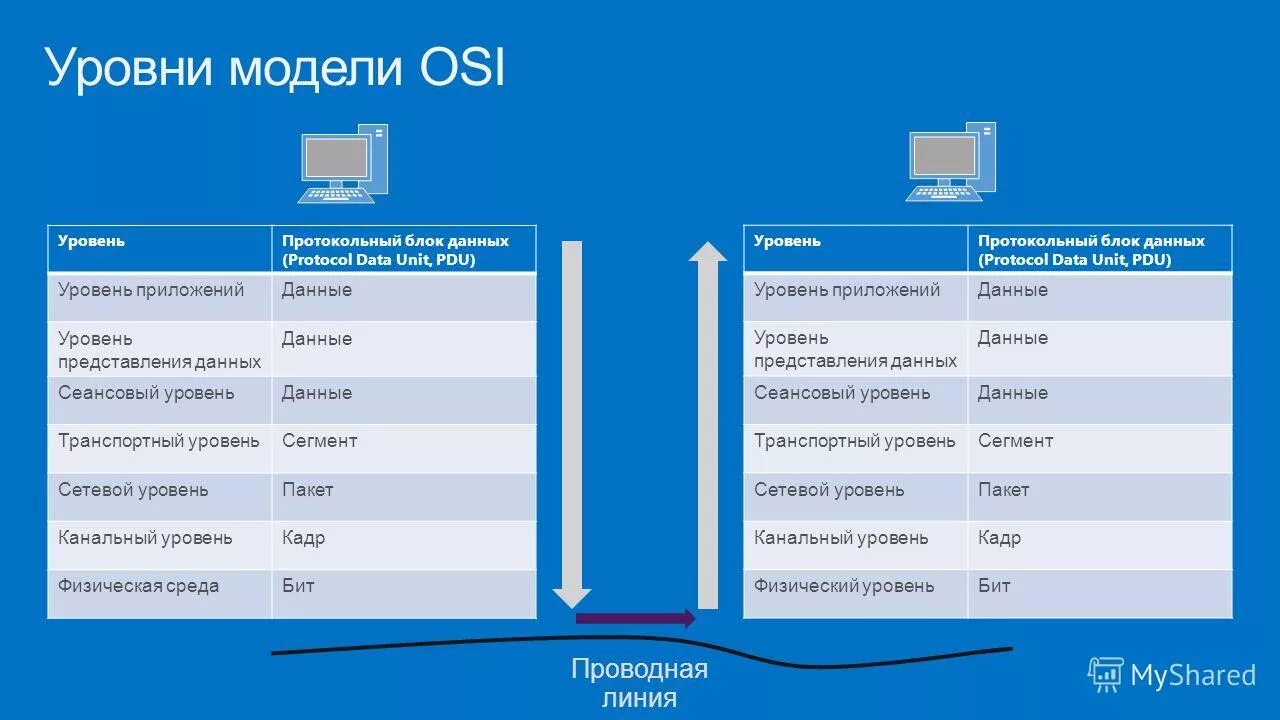 Блок данных (PDU) сетевого уровня. Блок данных PDU сеансового уровня. Сетевой уровень модели osi. Пакет сетевого уровня. Сетевой ямк