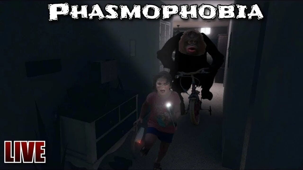 Phasmophobia по сети на пиратке. Phasmophobia мемы.