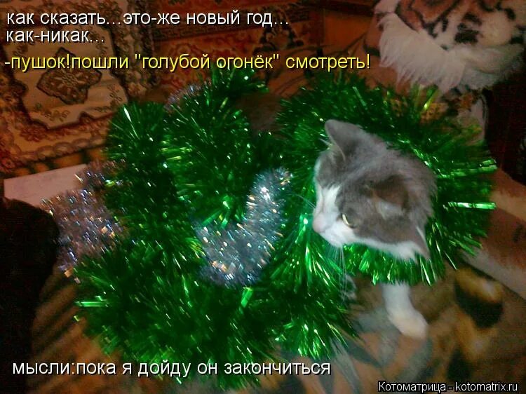 новый год как никак. подарки под ёлкой. рождественская елка. новогодний интерьер. новогодняя елка с подарками.