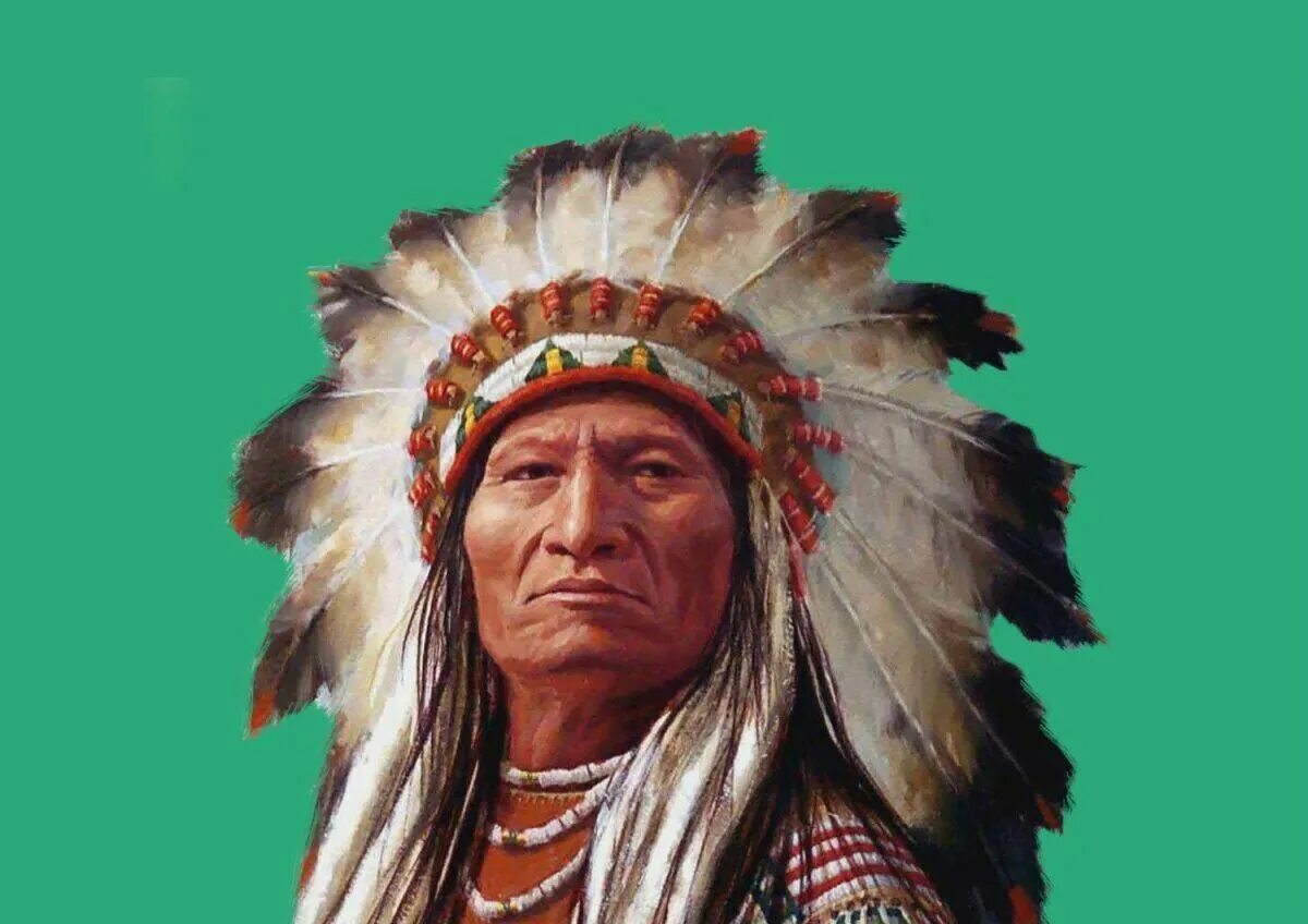 «Индейцы Северной Америки» Эдварда Куртиса. Апачи индейцы. Индейцы Апачи вожди. Аравики индейцы.