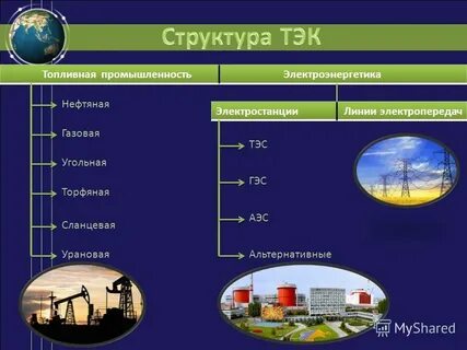 Дайте характеристику структуры тэк