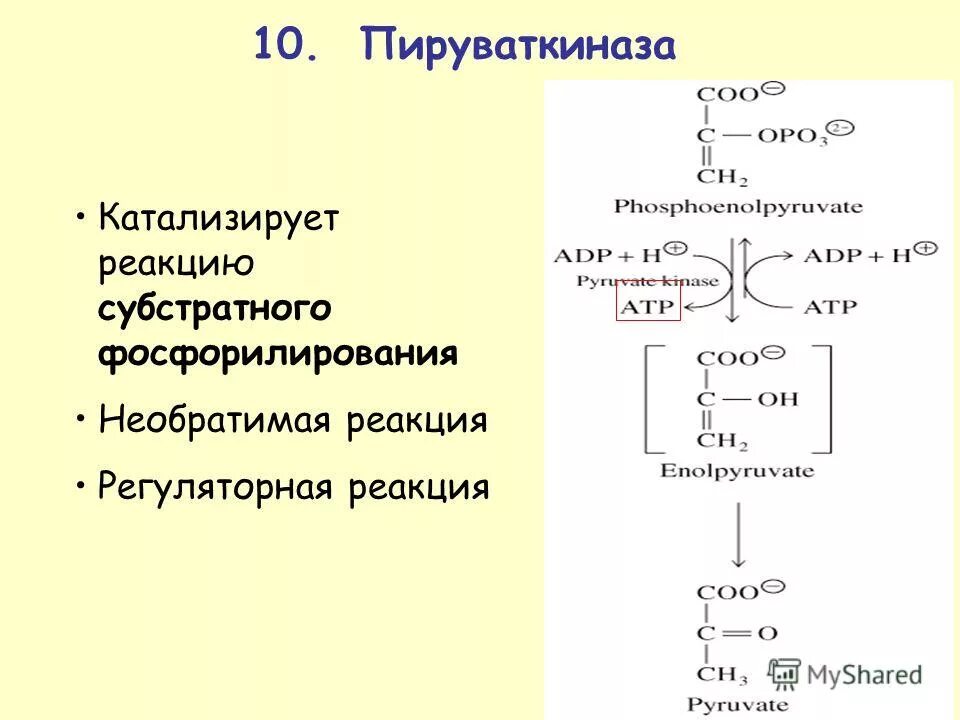 Субстратное фосфорилирование атф