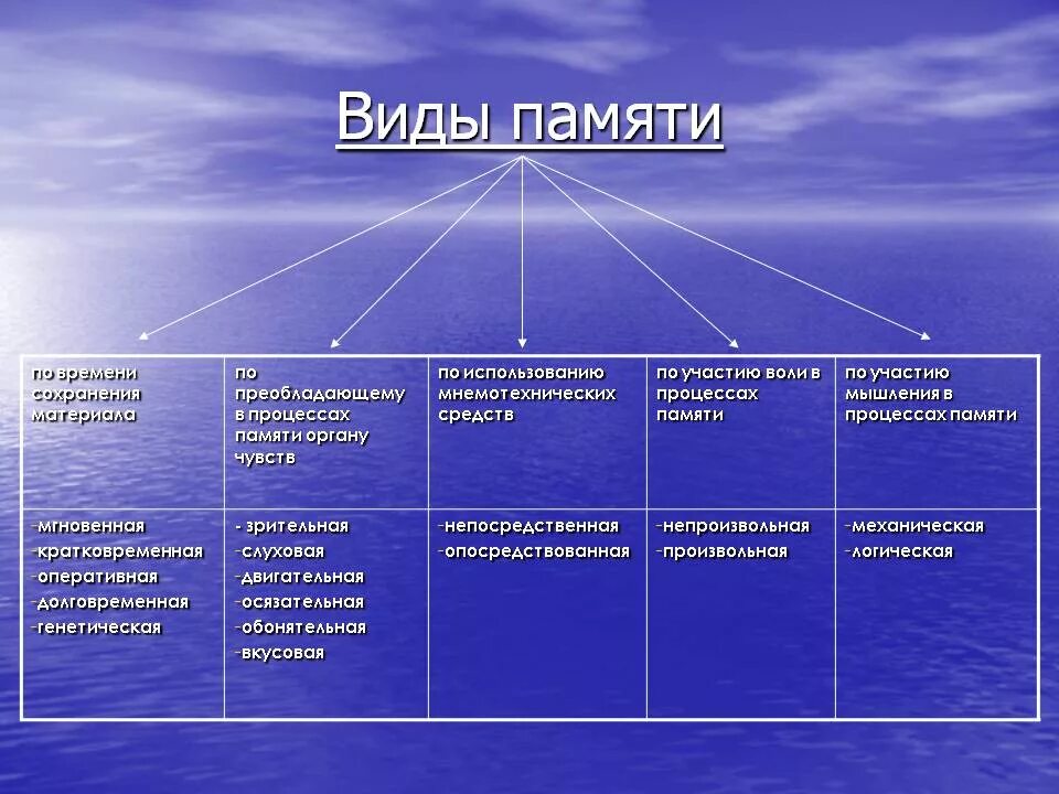 Память относится к психическим