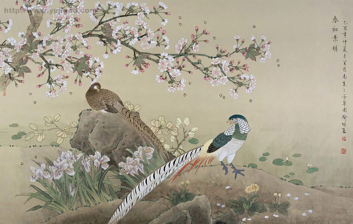 Хуа Няо картины. Хуа Няо цветы и птицы. Хуа Няо в живописи. Хуа-Няо древний Китай. Как говорит китайская птица